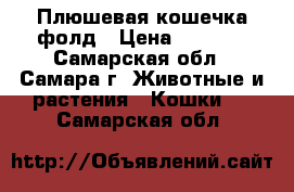 Плюшевая кошечка фолд › Цена ­ 3 000 - Самарская обл., Самара г. Животные и растения » Кошки   . Самарская обл.